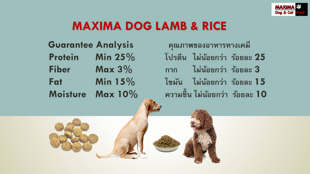 อาหารเม็ด สำหรับสุนัข แม็กซีม่า สายพันธุ์ใหญ่ 2 กก. แถม อาหารเปียกสุนัข แม็กซีม่า สูตรดูแล กระดูกและข้อต่อ 380 กรัม